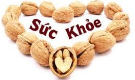 Công dụng hạt óc chó